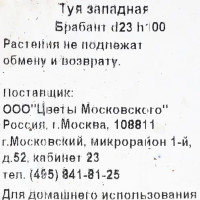 Туя западная «Брабант» 3 л h100 см