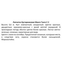 Лапчатка кустарниковая «Манго Танго» 17x20 см