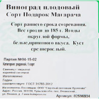 Виноград плодовый «Подарок Магарача» C2 высота 50 см