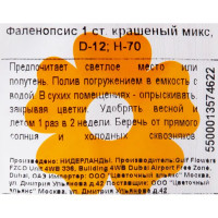 Орхидея Фаленопсис микс окрашенный 1 стебель ø12 h70 см