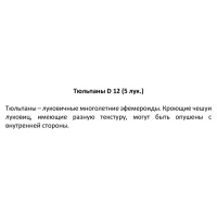 Тюльпаны ø12 h25 см, 5 шт.