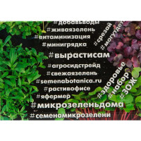 Семена Микрозелень «Фиолетовый редис»