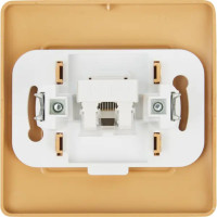 Розетка компьютерная встраиваемая Schneider Electric Blanca RJ45 cat 5 цвет ясень