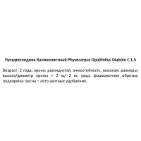 Пузыреплодник калинолистный Диабло ø15 h35 см