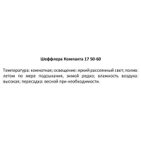 Шеффлера Компакта ø17 h50 см