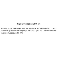 Сирень Венгерская ø19 см h40-60 см