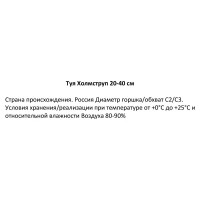 Туя западная Холмструп h20-30 см