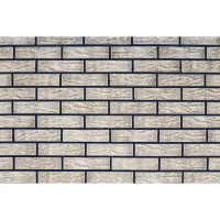 Кирпич облицовочный Керма M200 beroza hard рустик 250x120x65 мм 1 НФ