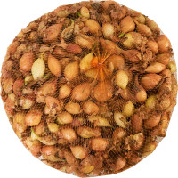 Лук-севок Стурон 21/24 1 кг