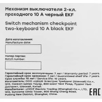 Выключатель встраиваемый EKF Стокгольм EZV10-027-10 2 клавиши цвет черный
