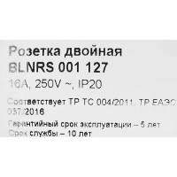 Розетка двойная встраиваемая Schneider Electric Blanca с заземлением со шторками цвет бежевый