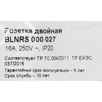 Розетка двойная встраиваемая Schneider Electric Blanca без заземления цвет бежевый