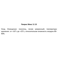 Пиерис микс ø11 h15 см