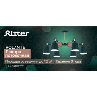 Люстра потолочная Ritter Volante 524489 6 ламп цвет черное дерево