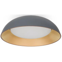 Люстра потолочная светододная Moonlight FR5277CL-L72GR серы