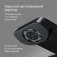 Смеситель термостатический AM.PM Flash F9H50022 с изливом цвет черный матовый