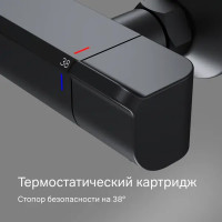 Смеситель термостатический AM.PM Flash F9H50022 с изливом цвет черный матовый