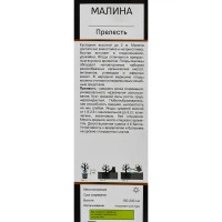 Малина Прелесть h35 см