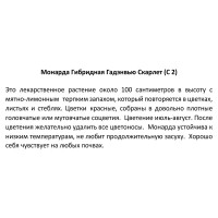 Монарда гибридная «Гадэнвью Скарлет» 2 л h20 см