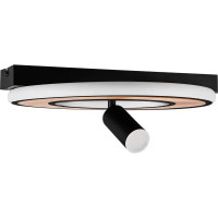 Светильник потолочный светодиодный Lumion Ledio Pine 6572/24CL 10 м² нейтральный белый свет цвет черный
