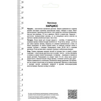 Нарцисс махровый «Айс Кинг», высота 40 см, 3 шт.