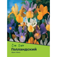 Ирис голландский микс луковицы 6/7, 10 шт.