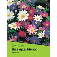 Анемоны Бланда микс луковицы 5/6, 8 шт.