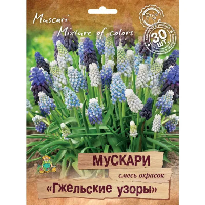 Мускари Гжельские узоры микс, 30 шт.