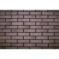 Кирпич облицовочный Керма M200 mars strong red рустик 250x120x65 мм 1 НФ