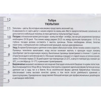 Тюльпан бахромчатый «Канаста», высота 40 см, 3 шт.