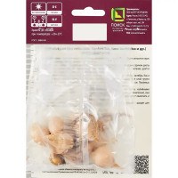 Ирис сетчатый смесь сортов, 10 шт.