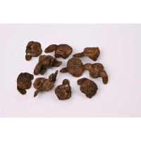 Анемона Бланда микс 5/6, 10 шт.