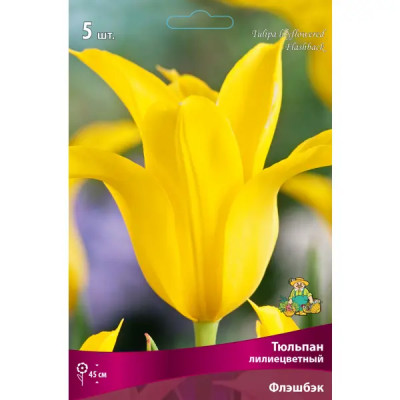 Тюльпан лилиецветный «Флэшбэк» размер луковицы 12, 5 шт.