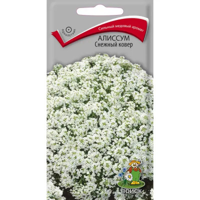Семена цветов Поиск алиссум Снежный ковер