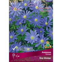 Анемона Бланда Блу Шейдс 5/6, 10 шт.