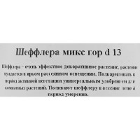 Шеффлера микс d13 h25