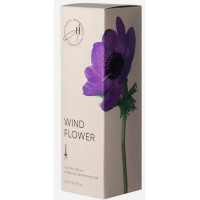 Ароматический диффузор Aroma Harmony Spring Wind Flower 60 мл