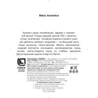 Яблоня колонновидная Приокское h200 см в сетке Поиск Инвест