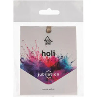 Ароматическое саше Arida Home Holi Jubilation, 10 г