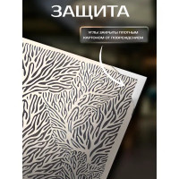 Картина Векторная красота 30x30 см 2 шт.