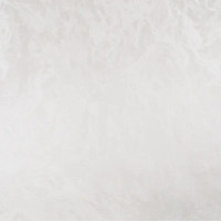 Обои флизелиновые Palitra Home Pro-Fleur бежевые 1.06 м HC31222-21A