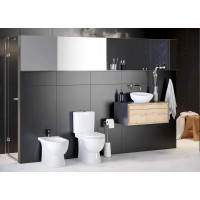 Унитаз-компакт Sanita Luxe Art Comfort WC.CC/Art/2-DM/WHT.G/S1 сиденье с микролифтом