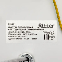 Светильник потолочный светодиодный Ritter Teramo с пультом управления 41 м² регулируемый белый свет цвет белый