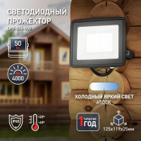 Прожектор светодиодный уличный Эра LPR-024-050 50 Вт 6500К IP65 нейтральный белый свет