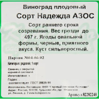 Виноград плодовый «Надежда Азос» С2 50 см