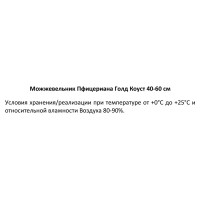 Можжевельник Пфицериана (средний) Голд Коуст ø19 см h40-60 см
