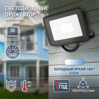 Прожектор светодиодный уличный Эра LPR-024-030 30 Вт 6500К IP65 нейтральный белый свет