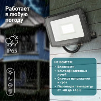 Прожектор светодиодный уличный Эра LPR-024-030 30 Вт 6500К IP65 нейтральный белый свет