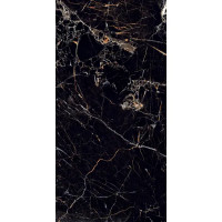 Глазурованный керамогранит Arcadia Ceramica Torino Black High Gloss 60x120 см 1.44 м² глянцевый цвет черный