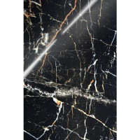 Глазурованный керамогранит Arcadia Ceramica Torino Black High Gloss 60x120 см 1.44 м² глянцевый цвет черный